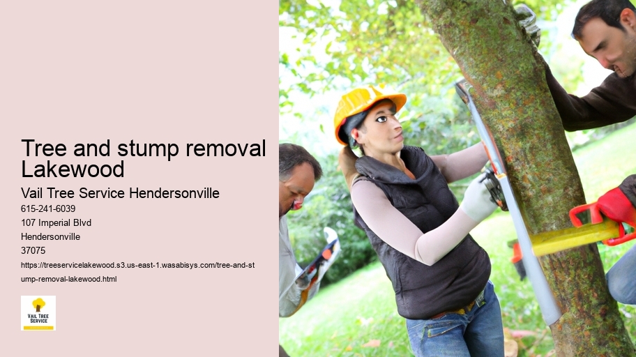 tree and stump removal Lakewood